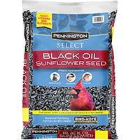 Black Oil Sunflower Seeds Bird Feed