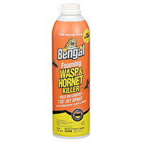 16oz foaming wasp&hornet killer