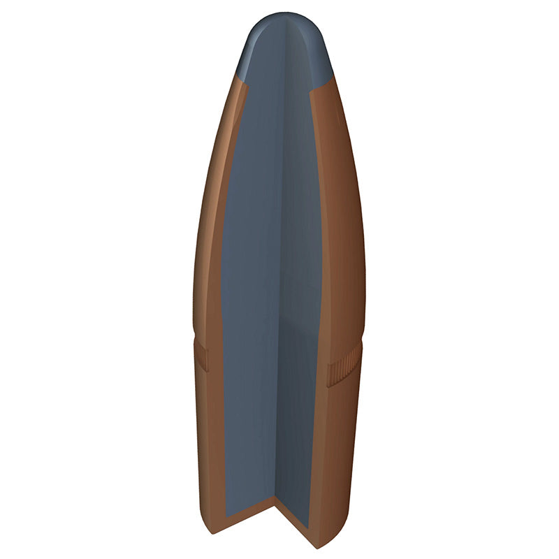 WINCHESTER AMMUNITION .308 Win