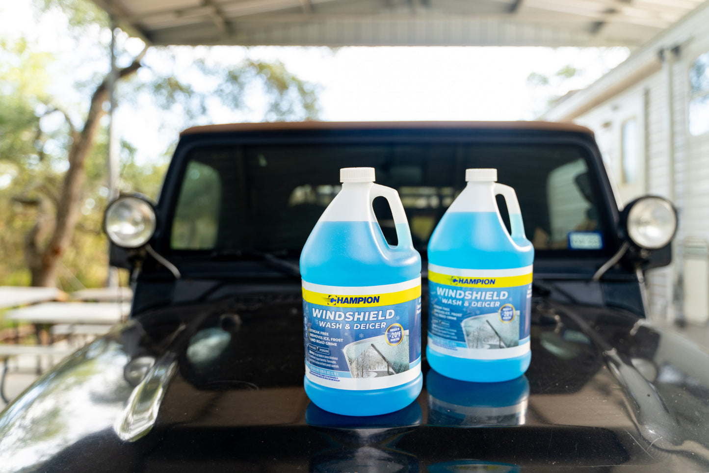 Champion Windshield Wash & Deicer
