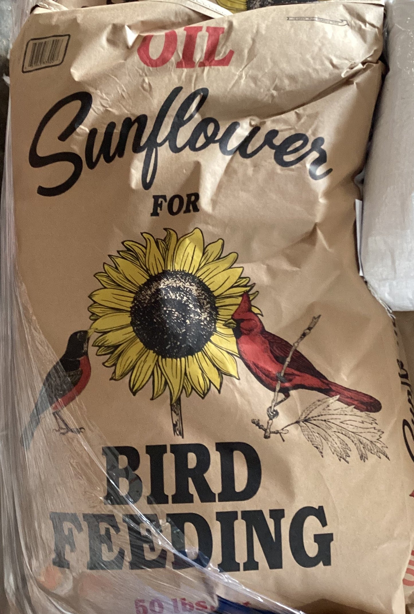 Black Oil Sunflower Seeds 50lb Bag