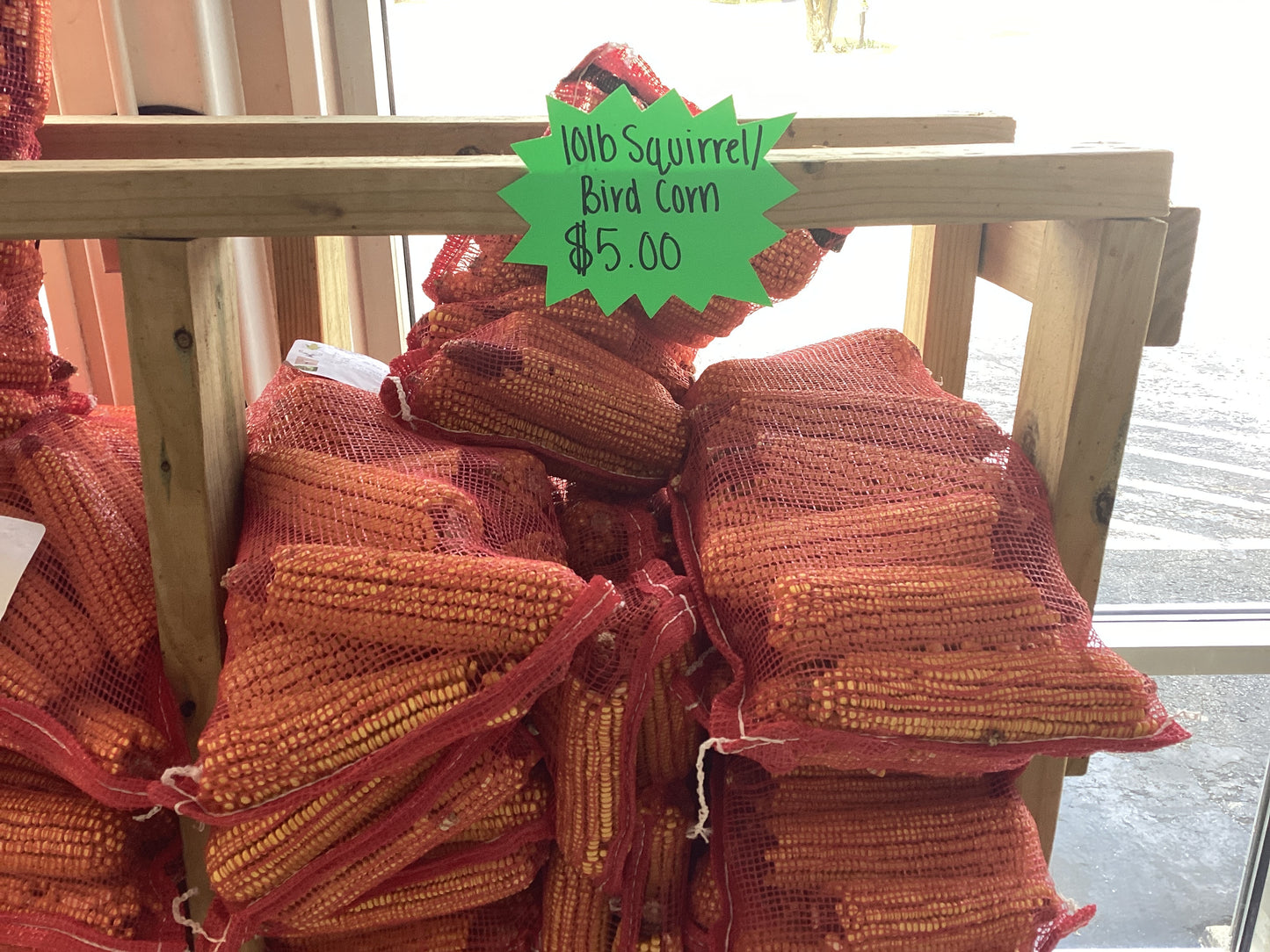 10lb Squirrel/ Bird corn