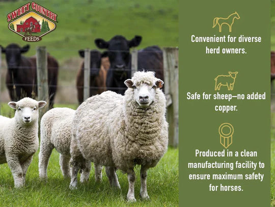 16% Textured All Stock Feed