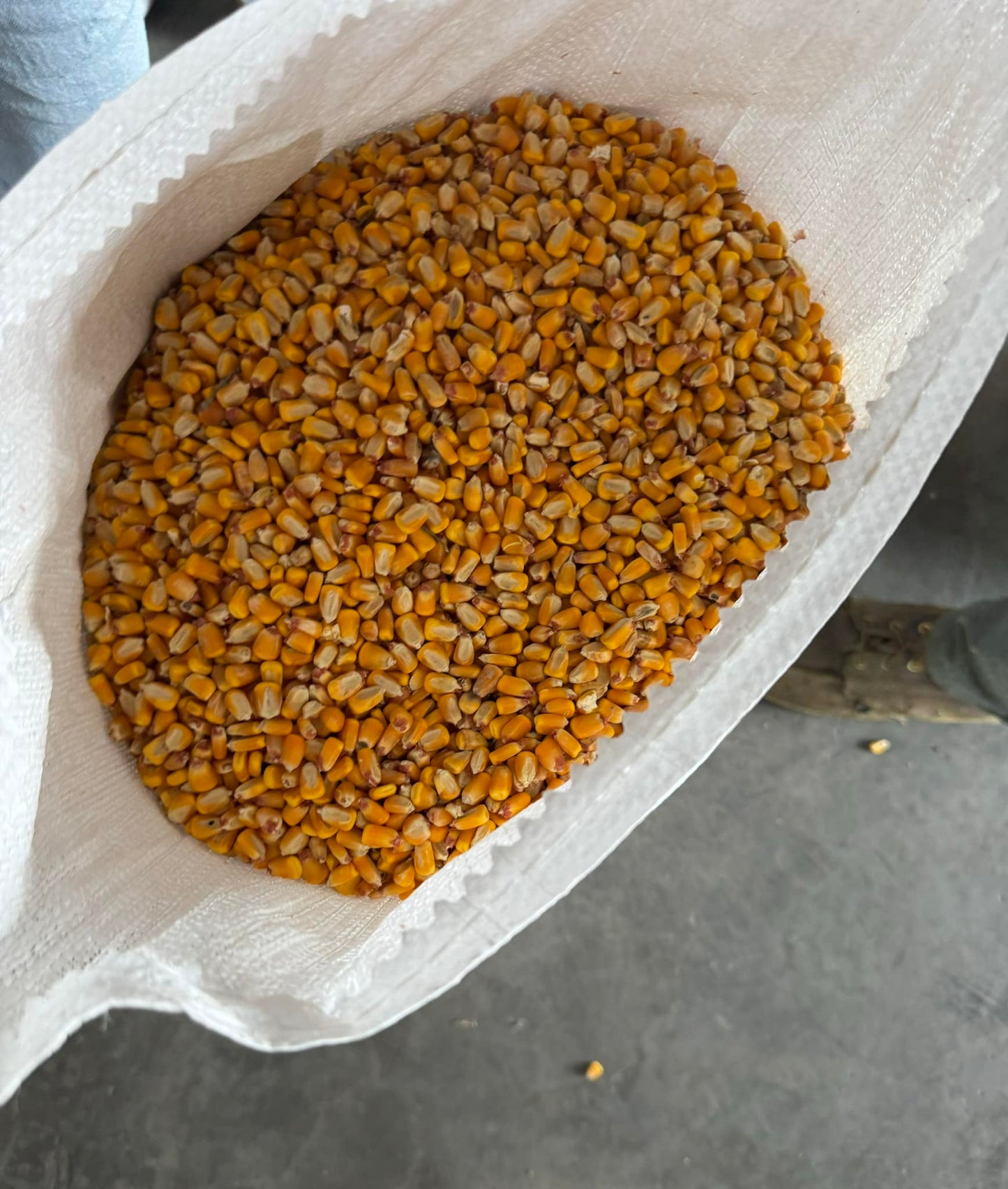 Whole Kernel Corn 50lb Bag