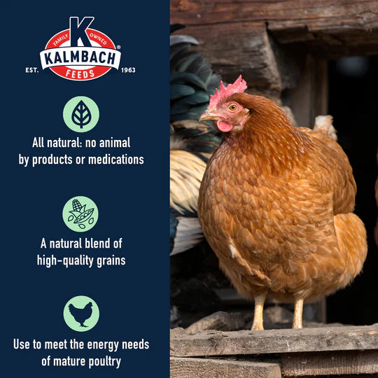 All Natural 5 - Grain Premium Scratch Grain For Chickens