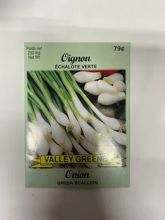 Onion Green Scallion Seed Packet
