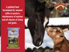 Sweet Country 12% All Stock Sweet Feed