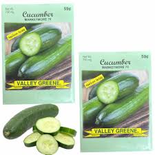 Cucumber Marketmore 76 Seed Packet