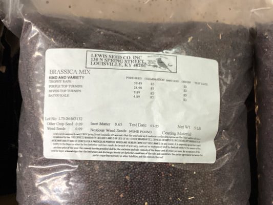 Brassica mix Lewis seed