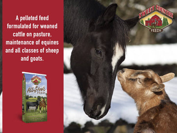 16% Textured All Stock Feed