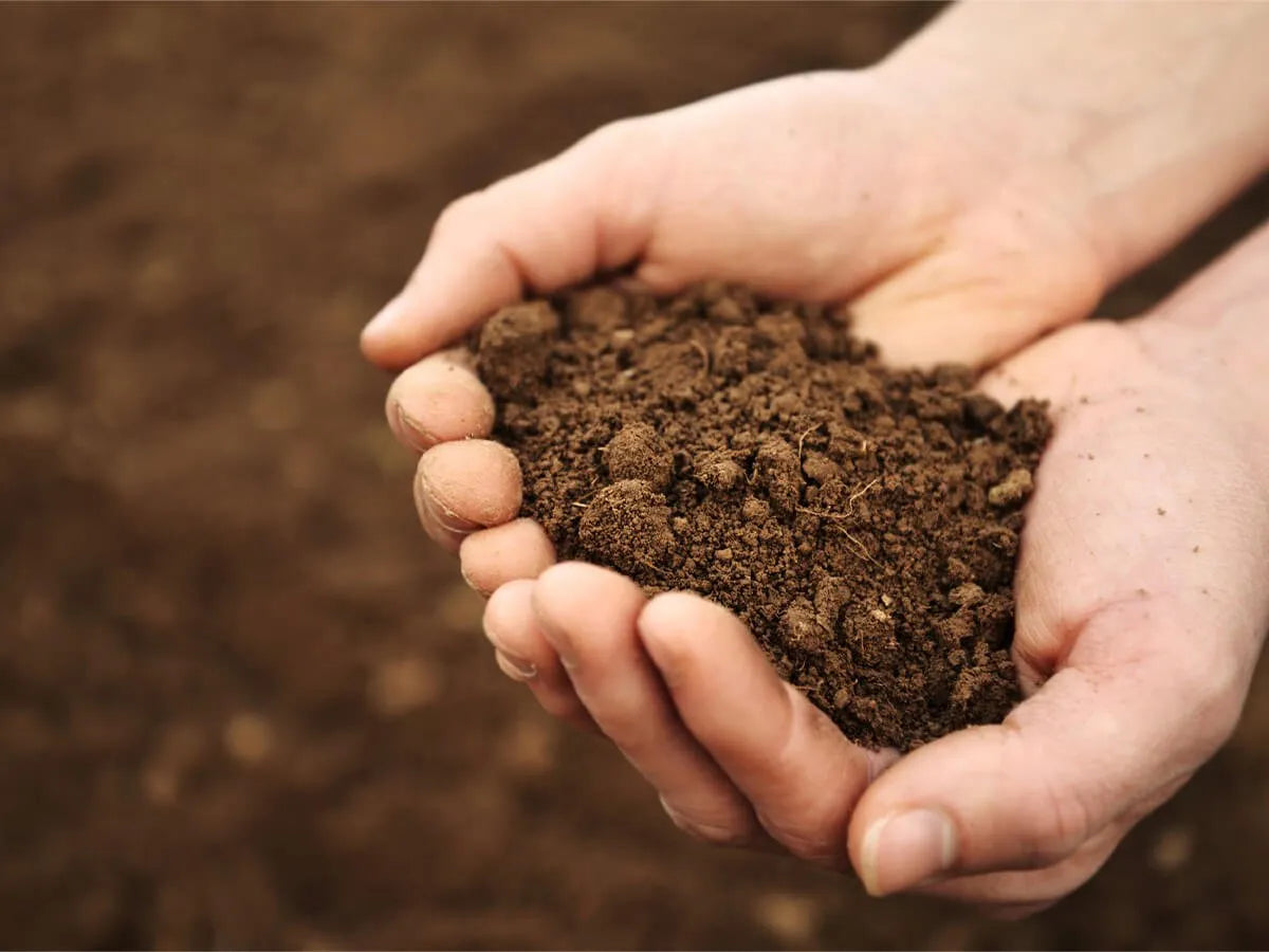 Top soil - per scoop =around a ton
